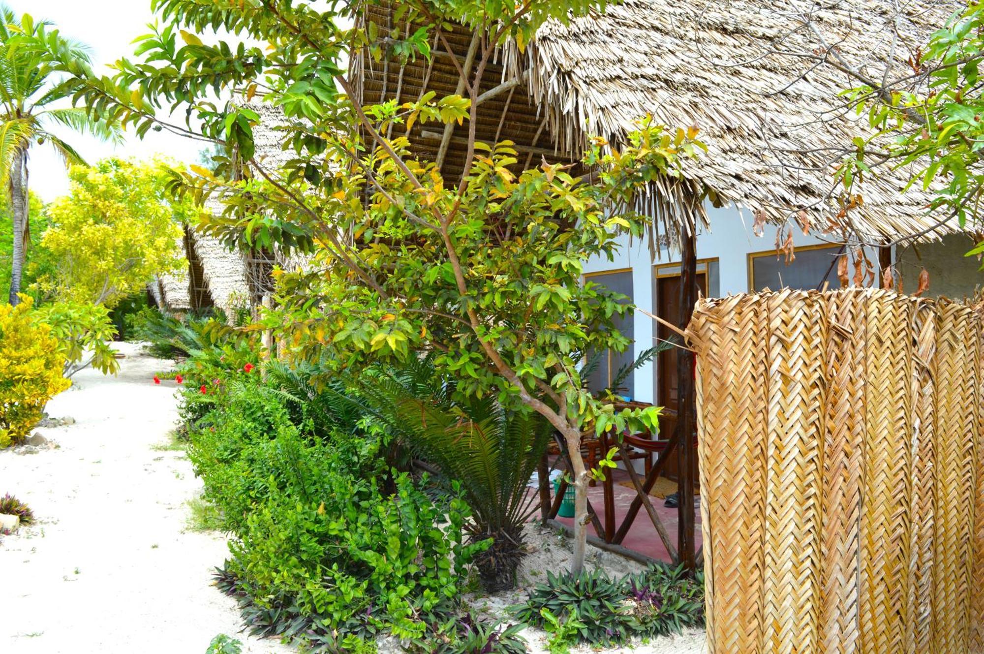 New Jambo Bungalows Падже Экстерьер фото