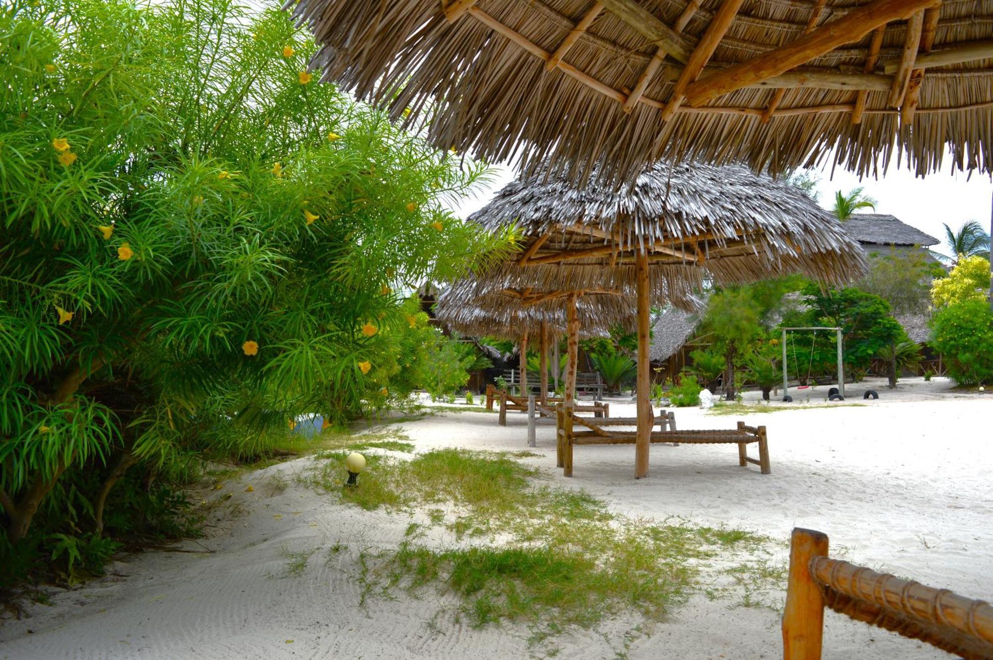 New Jambo Bungalows Падже Экстерьер фото