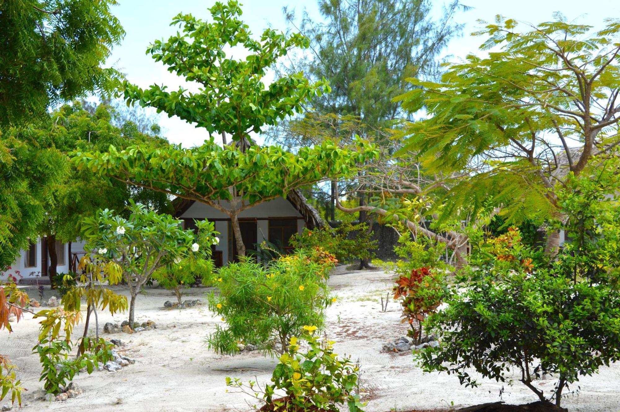 New Jambo Bungalows Падже Экстерьер фото