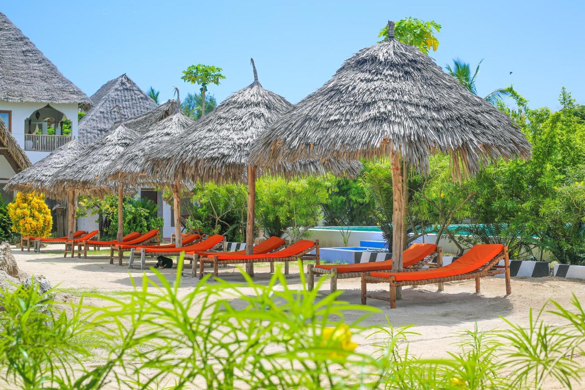 New Jambo Bungalows Падже Экстерьер фото